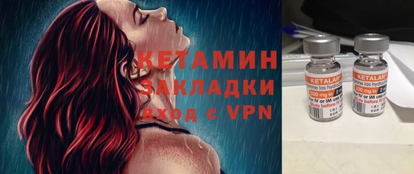 дживик Няндома