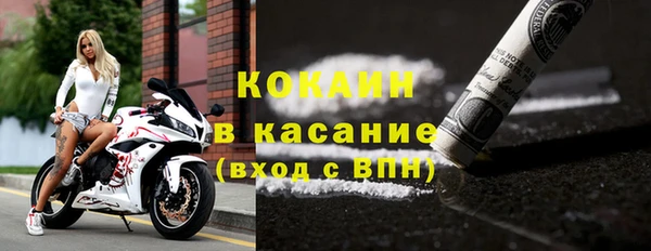 дживик Няндома