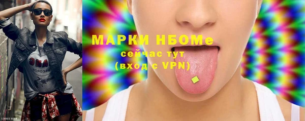 дживик Няндома