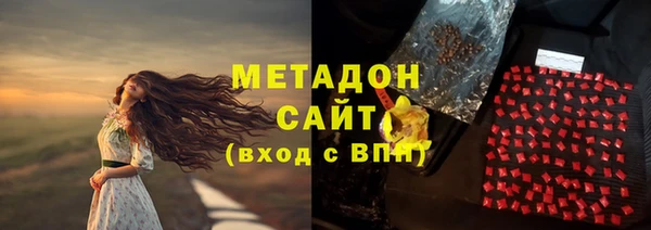 дживик Няндома