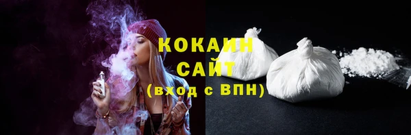 дживик Няндома