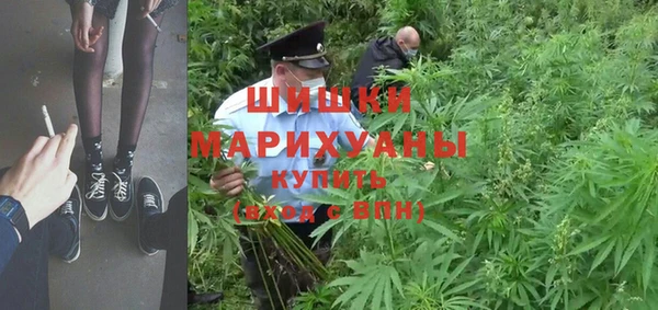 дживик Няндома