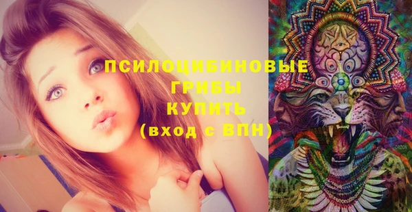 метадон Нягань
