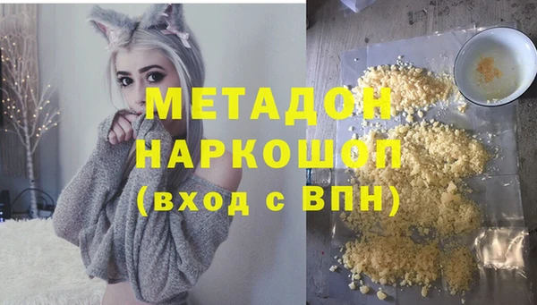 дживик Няндома