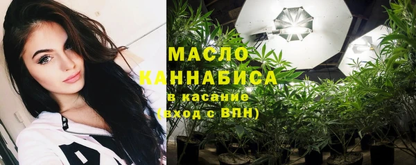 дживик Няндома