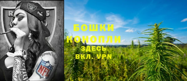дживик Няндома