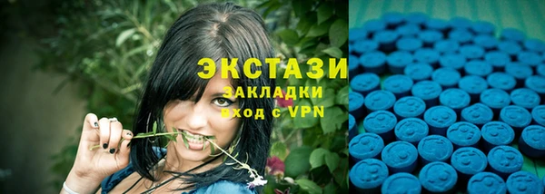 дживик Няндома
