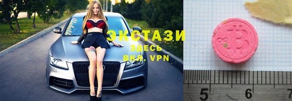 дживик Няндома