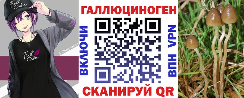 Псилоцибиновые грибы мицелий  купить наркотики цена  это Telegram  Палласовка 